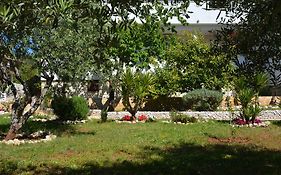 Apartments Maslina